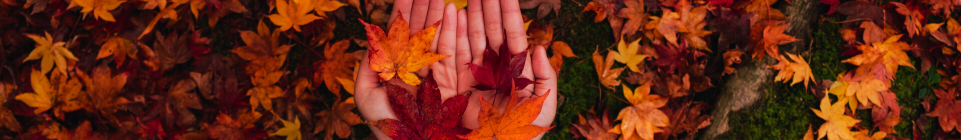 Latest Canadian Immigration News With CanadianVisa.org